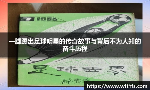 芒果体育登录注册